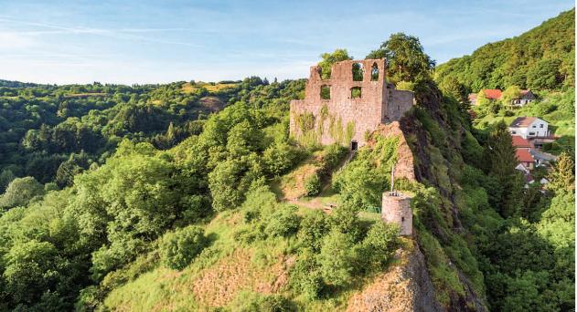 Burg Falkenstein (Donnersberg)