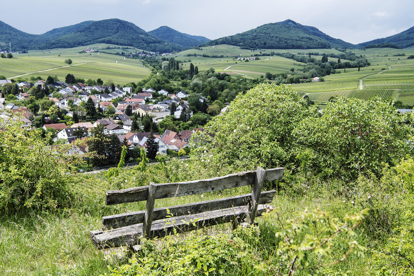 MTT-2023-09-Weinstrasse-3