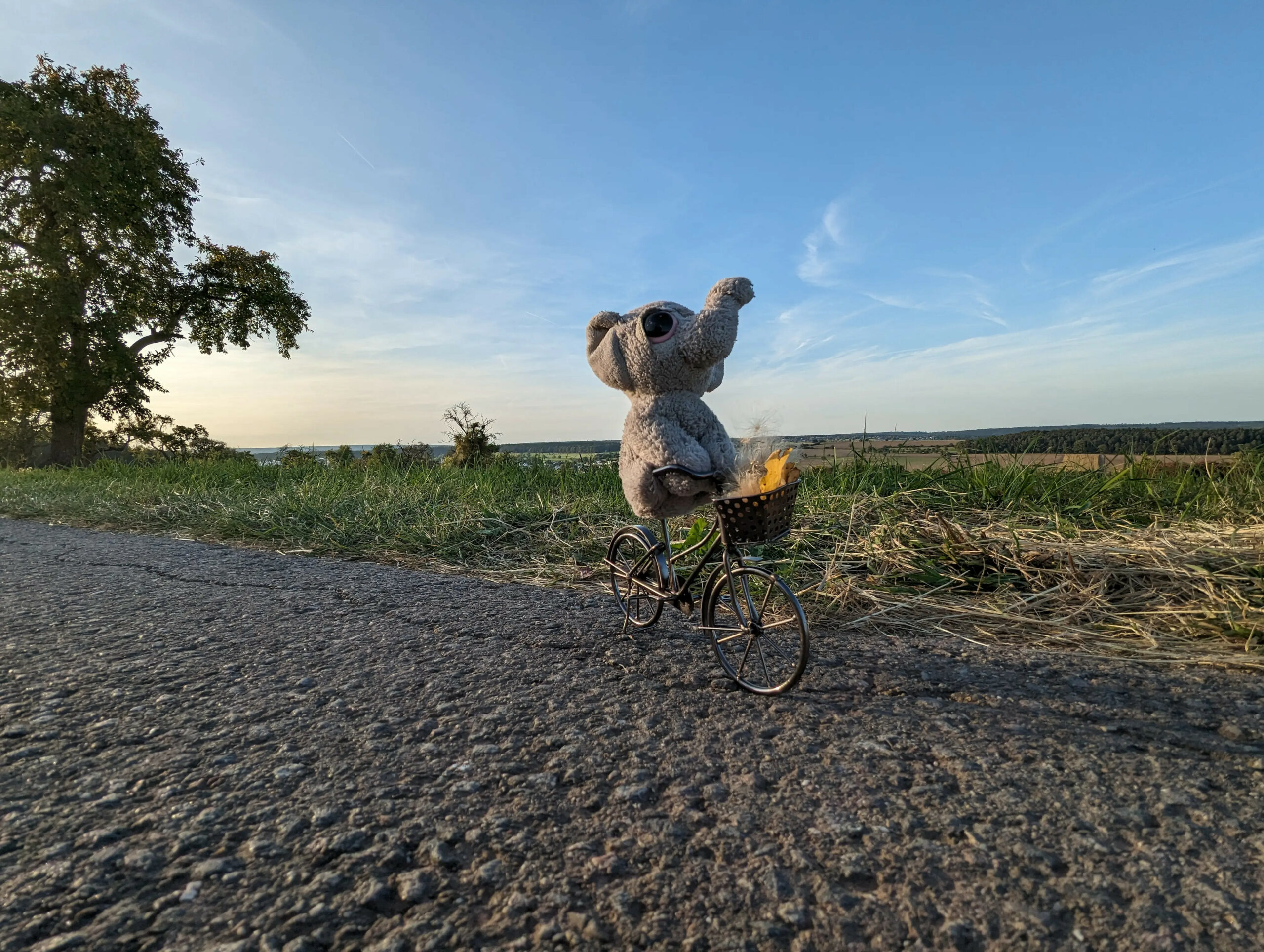 Natenoms Maskottchen, der kleine Plüsch-Elefant, auf seinem eigenen Fahrrad
Bildquelle: https://kagube.de/2023/10/2023-10-24-selfies/