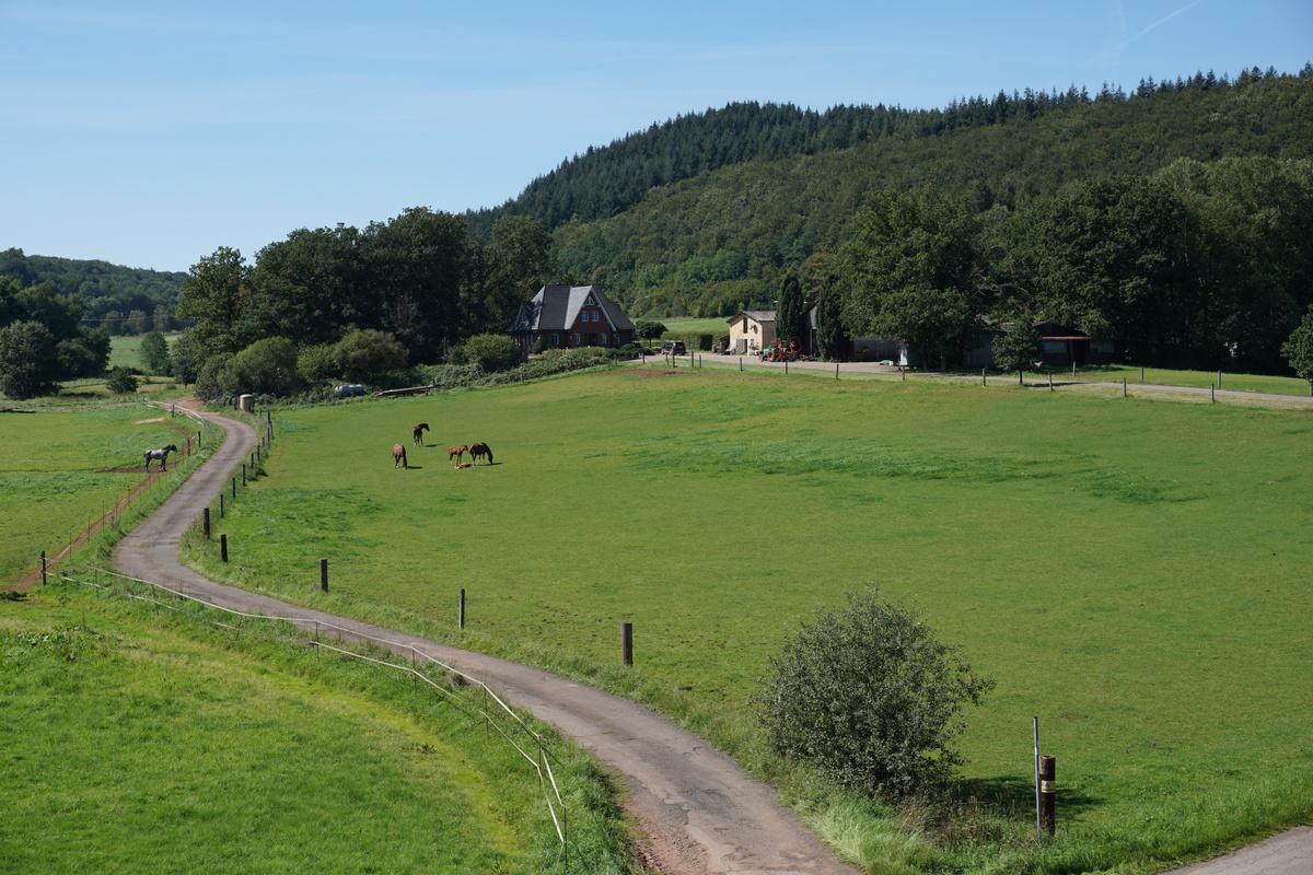 Bahnradweg St.Wendeler Land