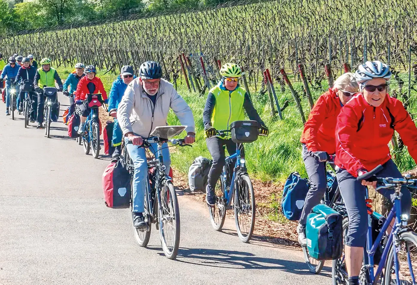 Noch sind die Weinstöcke kahl in Rheinhessen – aber schon sind Radreisende unterwegs<br><span class="image-copyright">Eckehard Wolf</span>