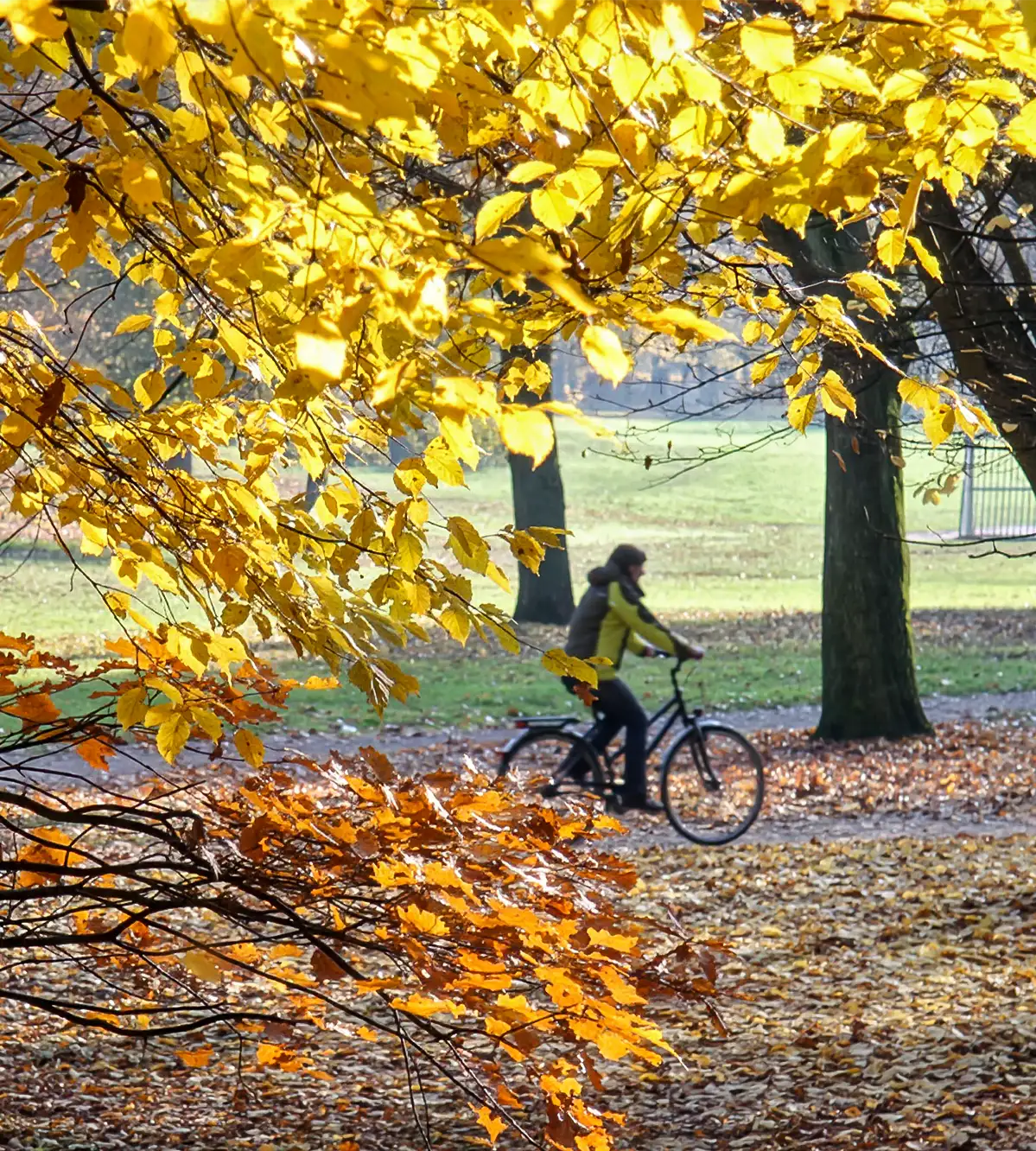 Radfahren im Herbst

Radfahren im Herbst hat seine ganz eigenen Reize. In unserem Dossier gibt der ADFC Tipps zu Ausrüstung, Bekleidung und Fahrweise, um gut durch die goldene Jahreszeit zu kommen

 Viele Tips und Infos zum Radfahren im Herbst 

Herbstlaub auf Radwegen


ADFC Frankfurt fordert Herbstdienst für Radwege

 Zu den Forderungen des ADFC