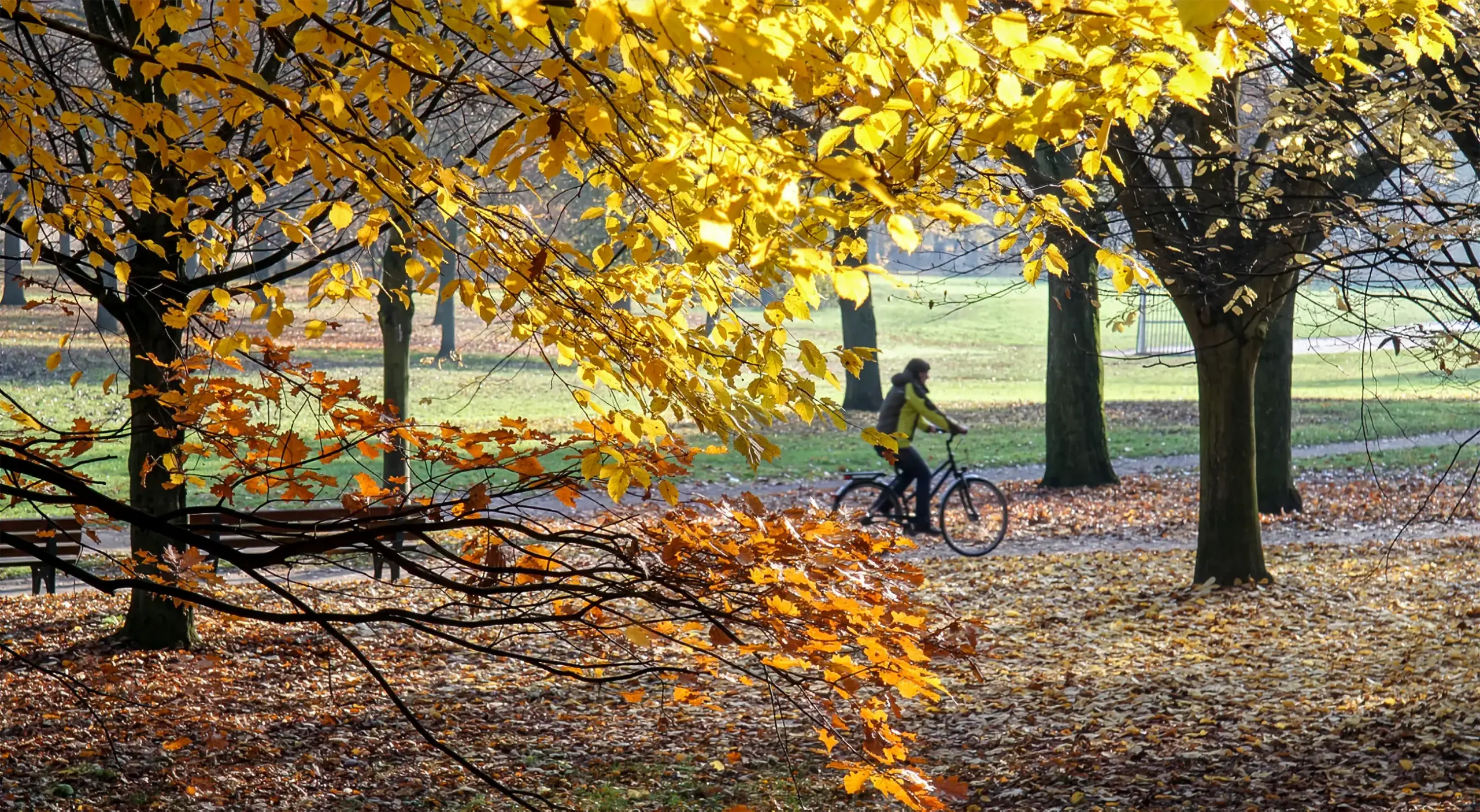 Radfahren im Herbst

Radfahren im Herbst hat seine ganz eigenen Reize. In unserem Dossier gibt der ADFC Tipps zu Ausrüstung, Bekleidung und Fahrweise, um gut durch die goldene Jahreszeit zu kommen

 Viele Tips und Infos zum Radfahren im Herbst 

Herbstlaub auf Radwegen


ADFC Frankfurt fordert Herbstdienst für Radwege

 Zu den Forderungen des ADFC
