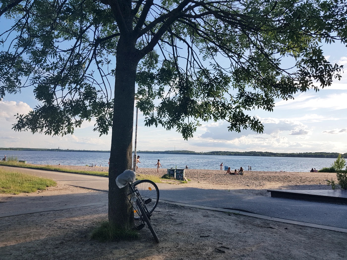 Ein Fahrrad lehnt an einem Baum. Im Hintergrund der Cospudener See