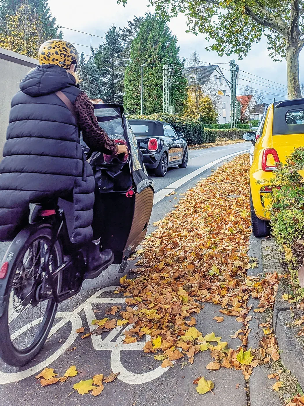 Herbstlaub liegt auf einem Radweg