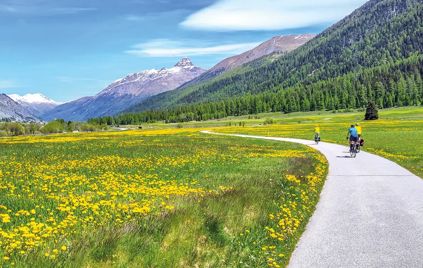  Durch blühende Löwenzahnwiesen im Oberengadin, die Berge immer in Sichtweite<br><span class="image-copyright">Holger Dietz</span>