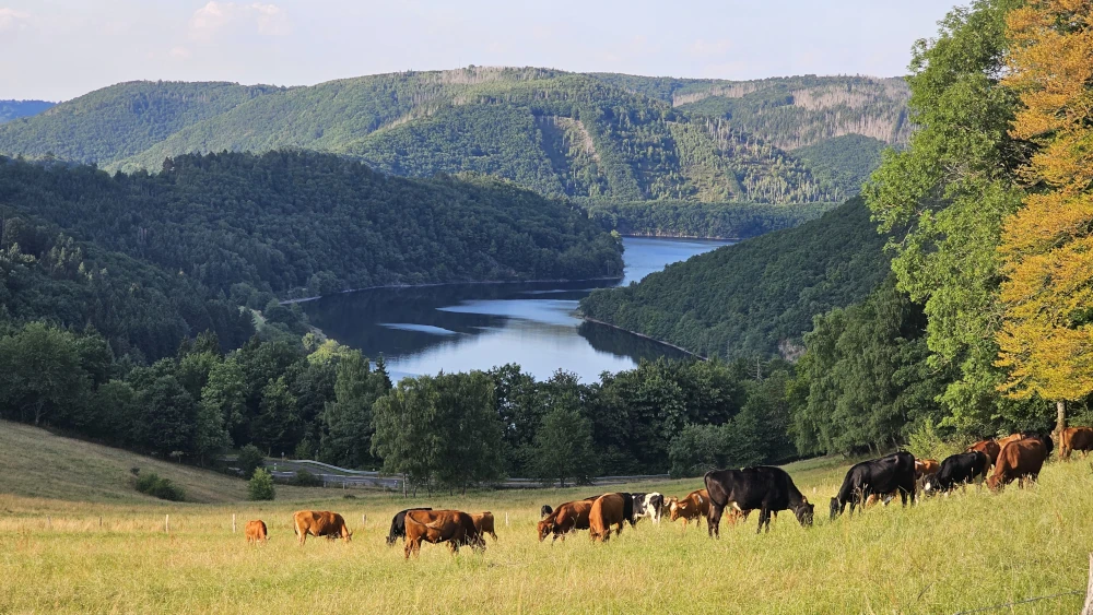 Vortragsabend Grenzgänge