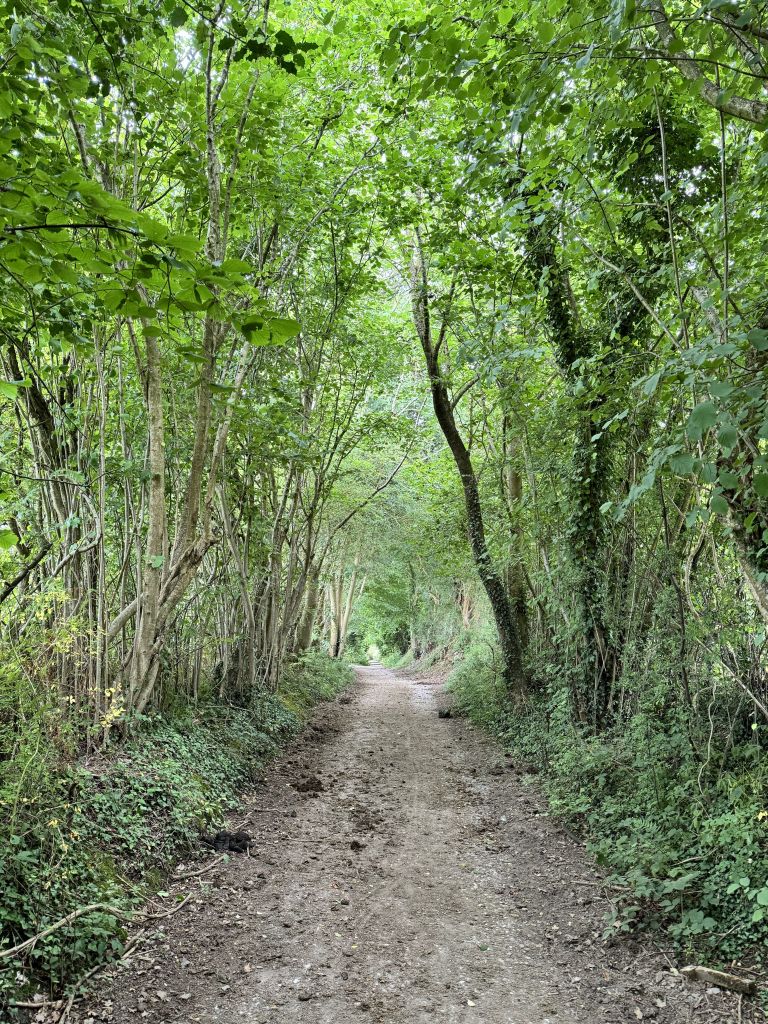 MTT-2026-02_Bild7_IMG_1066_s