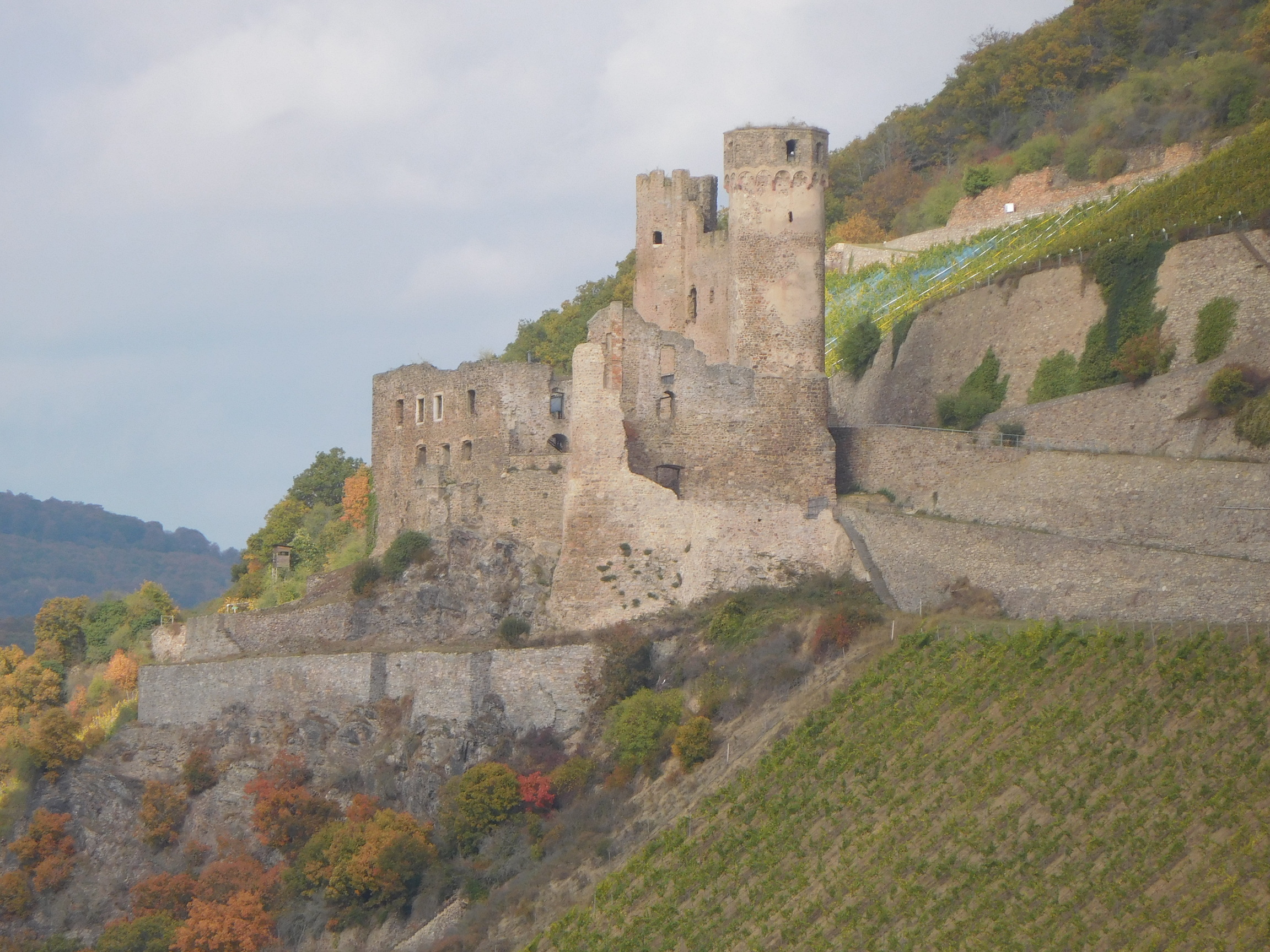 MTT-2026-14-Burg_Ehrenfels