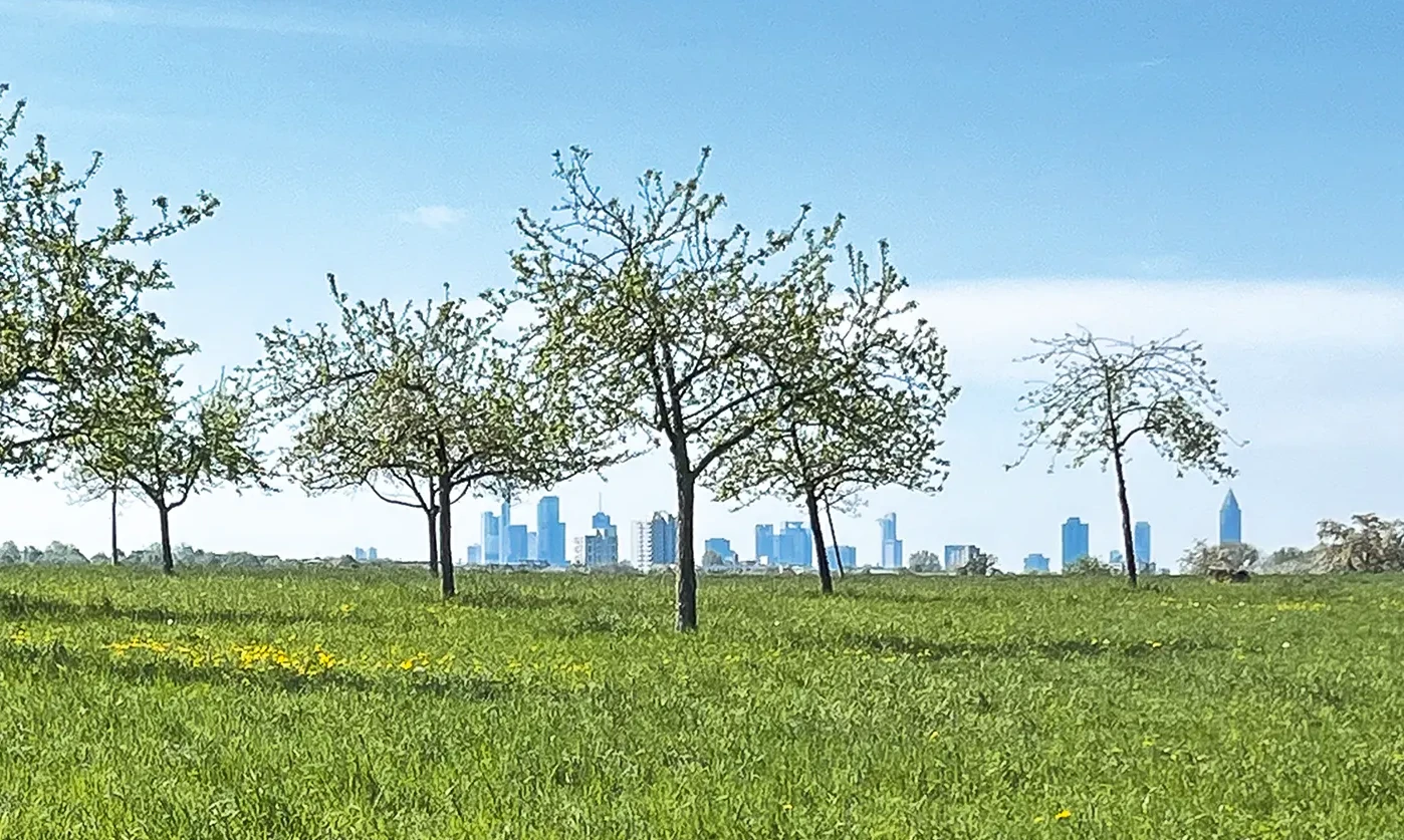   Die Skyline Frankfurts, so zu sehen auf dem Weg über den Heilsberg in die Frankfurter Innenstadt <br><span class="image-copyright">Ute Gräber-Seißinger</span>