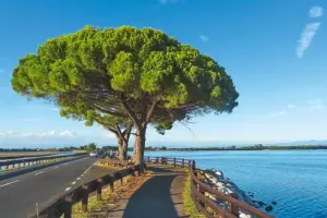 Auf dem Damm nach Grado