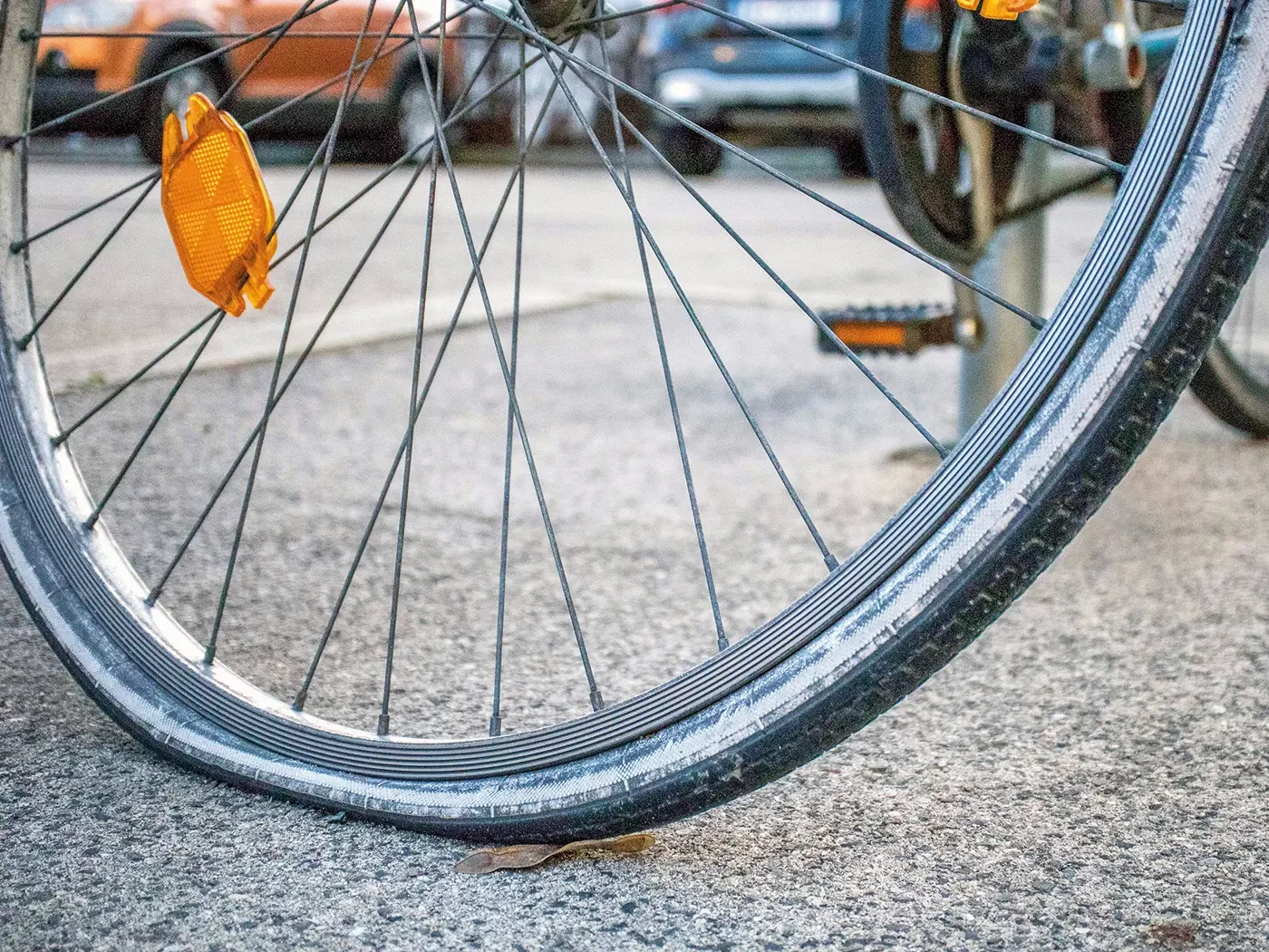 Vor der Fahrt aufpumpen! Dann kommt die Schlange nicht zu ihrem Biss